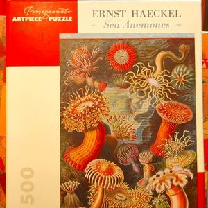 Puzzle - 500 pieces sea anemones